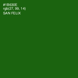 #1B630E - San Felix Color Image